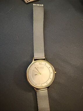 Skagen Silver Mesh Bracelet Watch